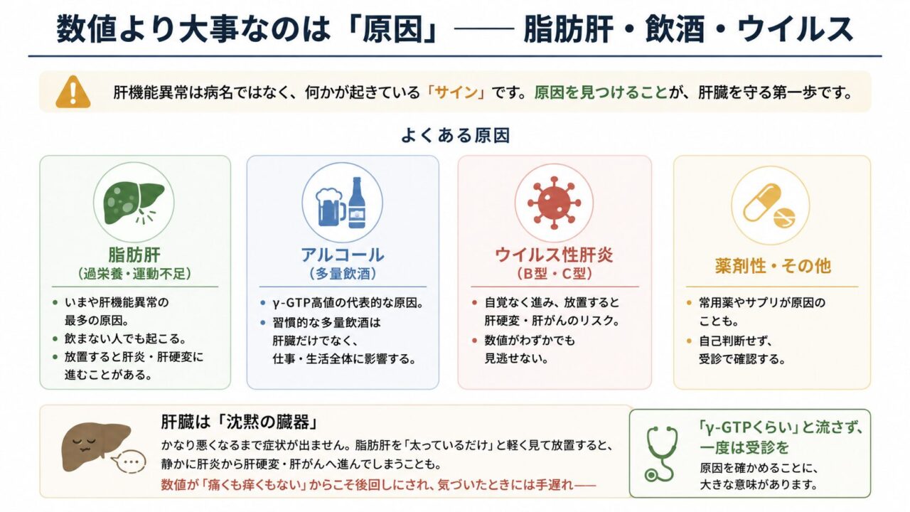 肝機能異常は病名ではなく、脂肪肝、飲酒、B型・C型肝炎、薬やサプリなどが原因となるサイン。肝臓は症状が出にくく、放置すると肝炎・肝硬変・肝がんへ進むことがあるため、数値の高さだけで判断せず、受診して原因を確認することが重要と示している。