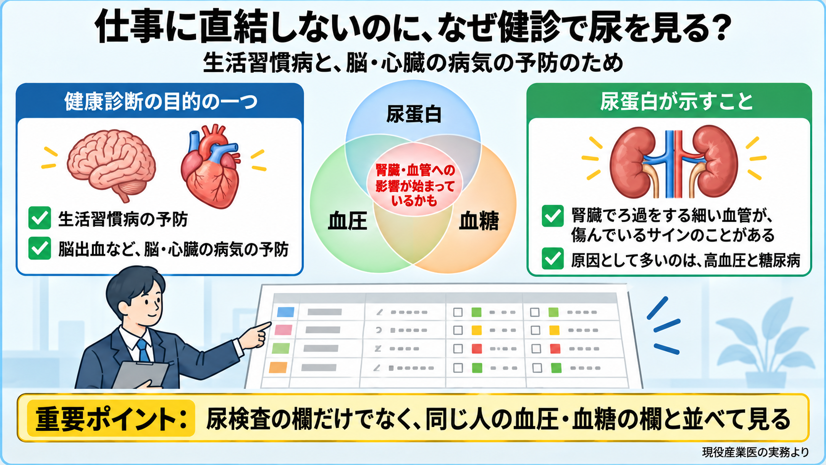 仕事に直結しない尿検査をなぜ健診で見るのかの図。健康診断の目的の一つは生活習慣病の予防と脳出血など脳・心臓の病気の予防。尿蛋白は腎臓でろ過をする細い血管が傷んでいるサインのことがある。原因として多いのは高血圧と糖尿病。尿蛋白・血圧・血糖の3つが重なると腎臓や血管への影響が始まっているかもしれない。重要ポイント: 尿検査の欄だけでなく、同じ人の血圧・血糖の欄と並べて見る。