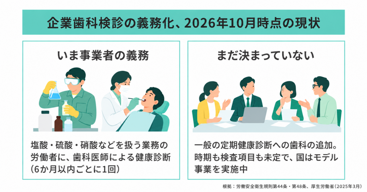 企業歯科検診の義務化の2026年10月時点の現状の図解。いま事業者の義務は塩酸・硫酸・硝酸などを扱う業務の労働者への歯科医師による健康診断(労働安全衛生規則第48条)だけで、一般の定期健康診断への歯科の追加は時期も検査項目も決まっていない